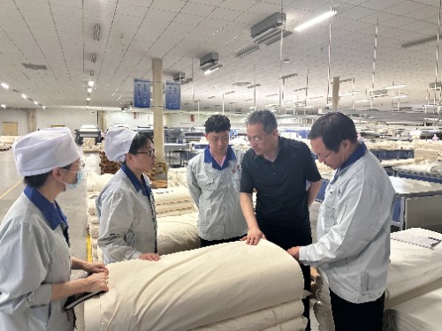 常山集團(tuán)黨委副書記、副董事長、總經(jīng)理楊瑞剛赴恒盛分公司督導(dǎo)調(diào)研